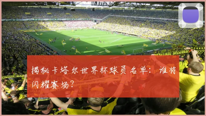 揭秘卡塔尔世界杯球员名单：谁将闪耀赛场？