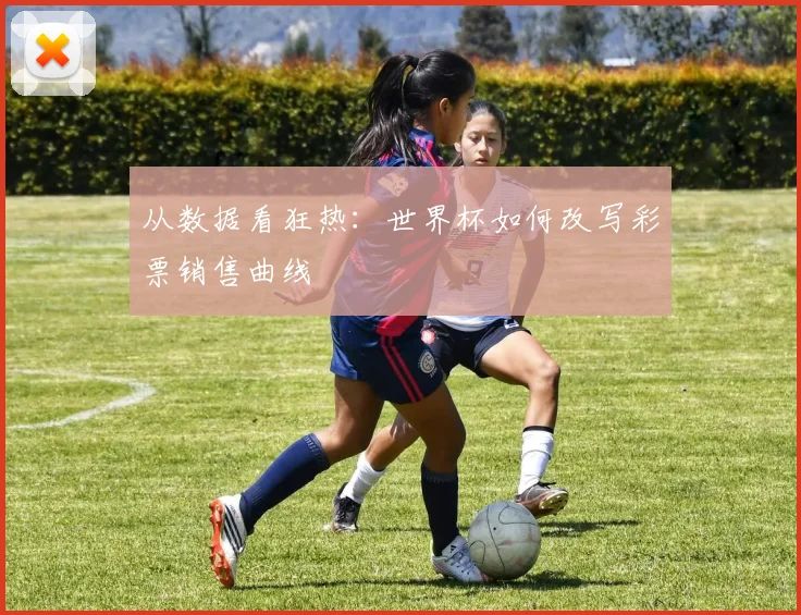 从数据看狂热：世界杯如何改写彩票销售曲线
