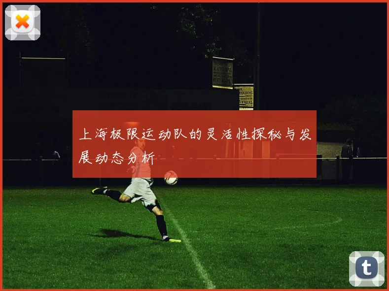 上海极限运动队的灵活性探秘与发展动态分析