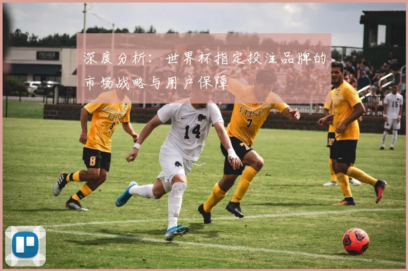 深度分析：世界杯指定投注品牌的市场战略与用户保障