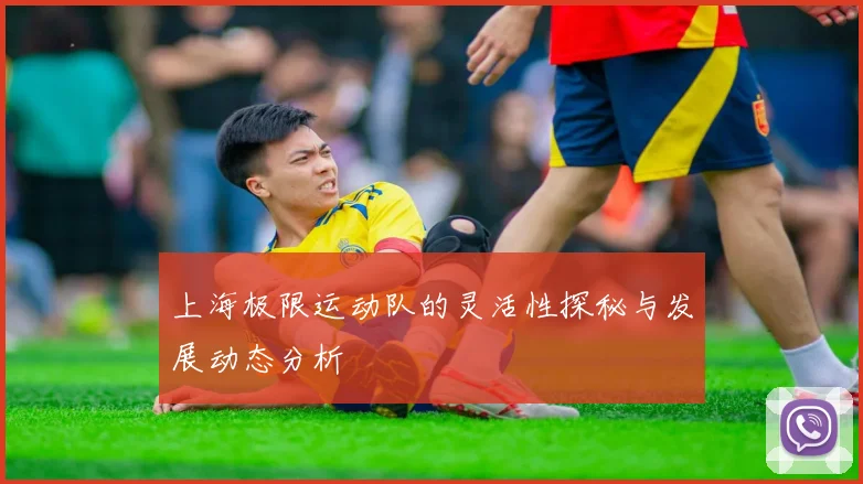 上海极限运动队的灵活性探秘与发展动态分析