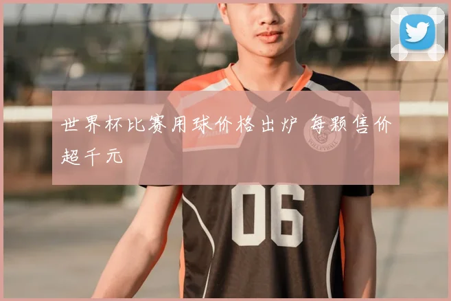 世界杯比赛用球价格出炉 每颗售价超千元