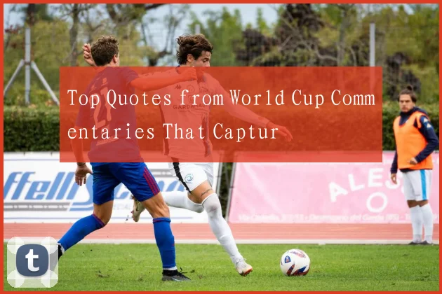 Top Quotes from World Cup Commentaries That Captur