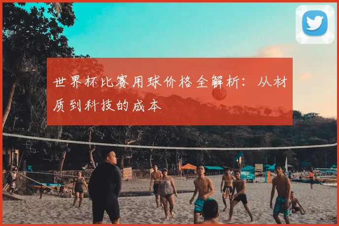 世界杯比赛用球价格全解析:从材质到科技的成本