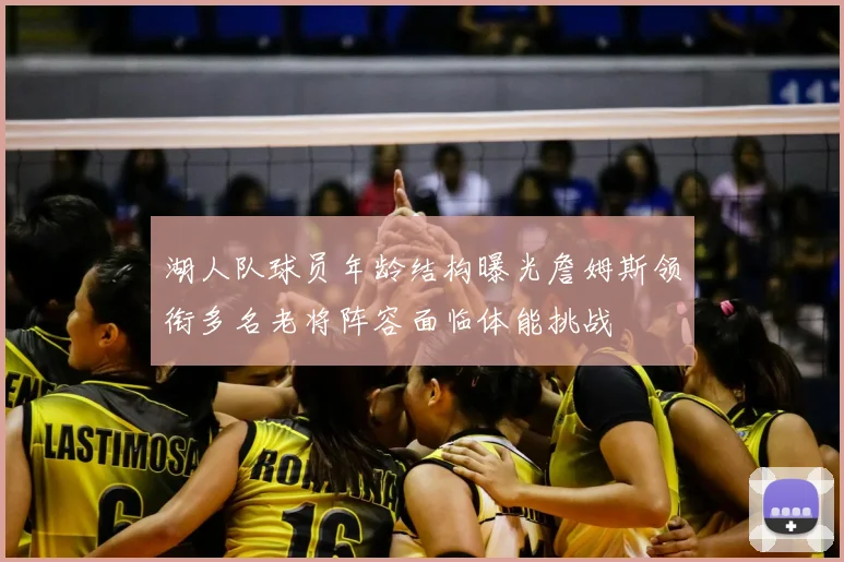 湖人队球员年龄结构曝光詹姆斯领衔多名老将阵容面临体能挑战