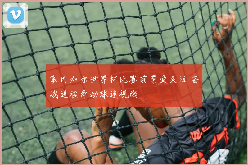 塞内加尔世界杯比赛前景受关注 备战进程牵动球迷视线